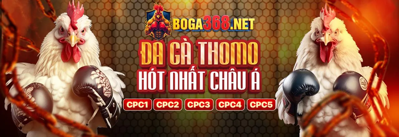Đá gà trực tuyến kịch tính tại rwin 1